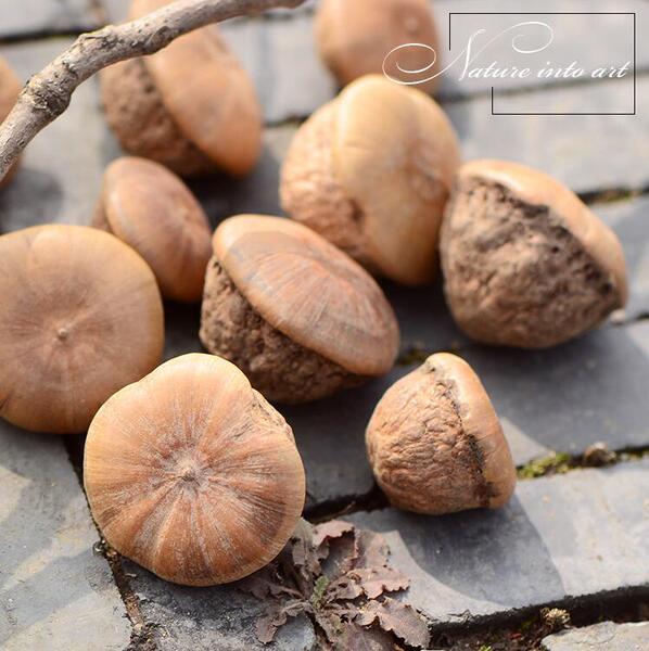 [Jade Mushroom] Natural dried flower flower arrangement shape