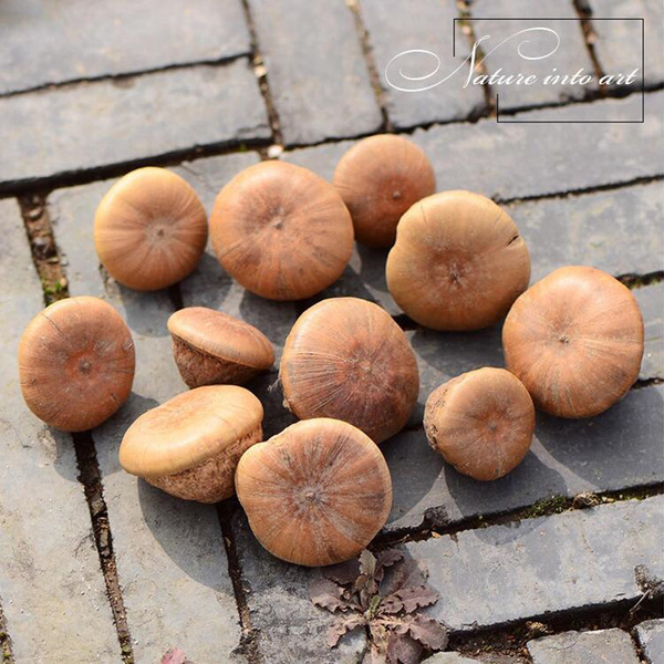 [Jade Mushroom] Natural dried flower flower arrangement shape