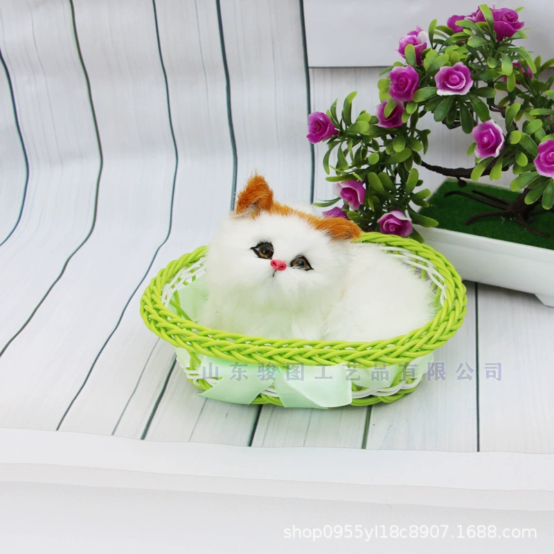 Photography props, toy, cat, Birthday gift