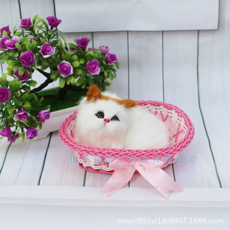 Photography props, toy, cat, Birthday gift