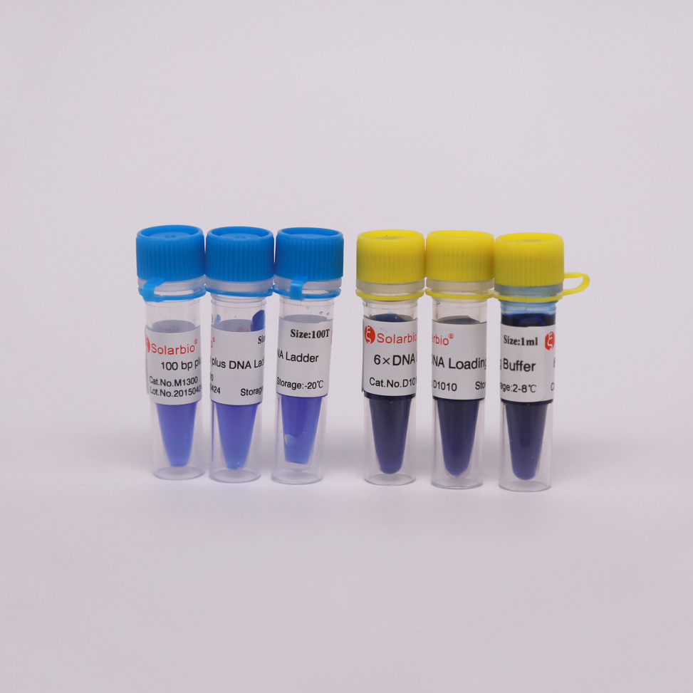 D1010 6×DNA上样缓冲液 索莱宝生化试剂 质量可靠