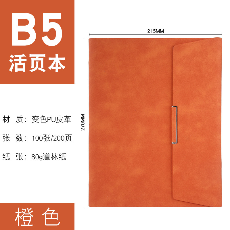 B5 오렌지
