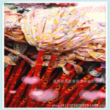 �S�����l  ��Ĥ�p��qľ�U�ϰ�  �ղ��ϰ� �A�ϰ� ����ă��ϰ��^