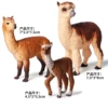 A alpaca family (3 sets)