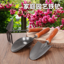 @ˇbBN˷̨ԷNֲAPӴ̖ľFP