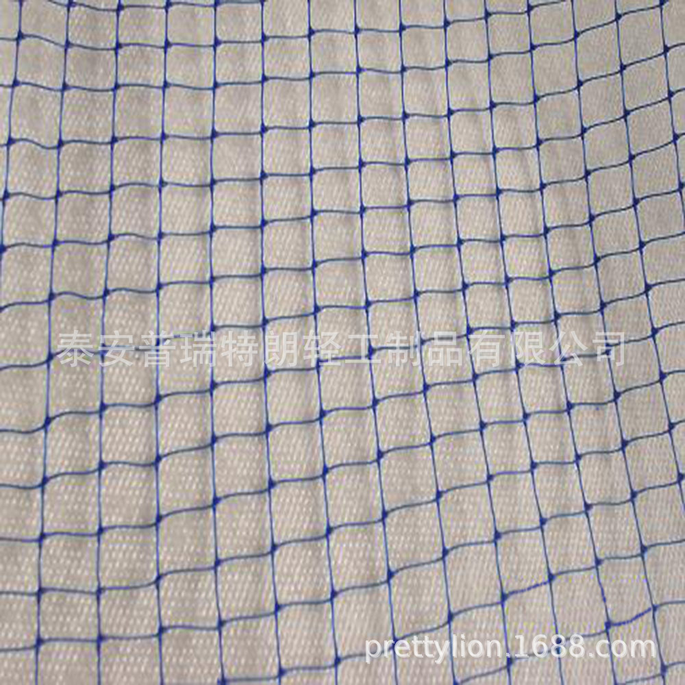 厂价直销供应BOP双向拉伸网（防鸟网）塑料双向拉伸网