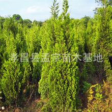 ؘؘrɰغϙuuذؘľԭa