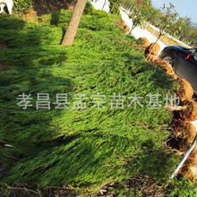 ȰɰشȰ؃r^ωĹØļ