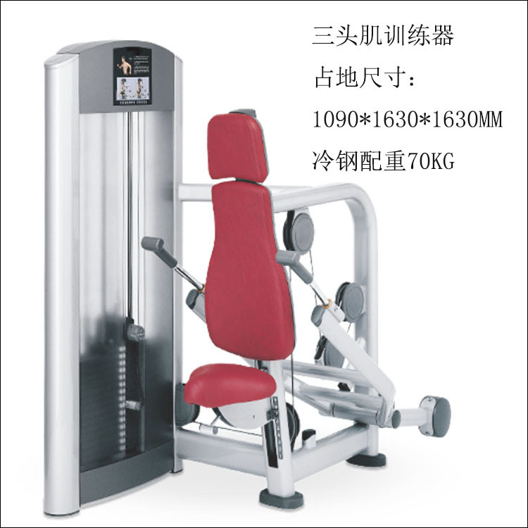 Pecho entrenador muslo flexión y estiramiento alto pull-down grandes y pequeñas aves voladoras de embarque gimnasio comercial Estudio de educación privada