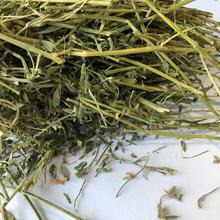 紫花苜蓿草捆颗粒草粉原料牛马羊动物园用紫花苜蓿草加压捆松散捆