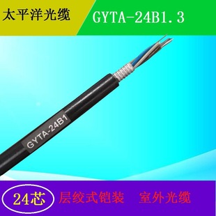 ɽ�|̫ƽ����| ���׌ӽgʽ���| GYTA-24B1.3 ��ģ���w ����ͨ��