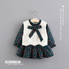 Autumn brand set, skirt, dress, Korean style, children's clothing, 2 piece set