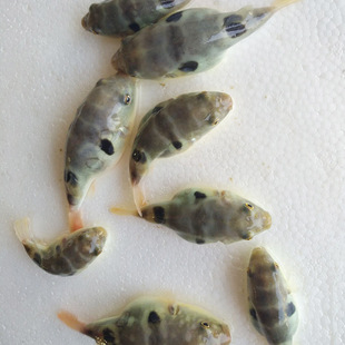 ���l��ˮ�����~������|�����y����NҎ���~��������Bֳ���r�r��