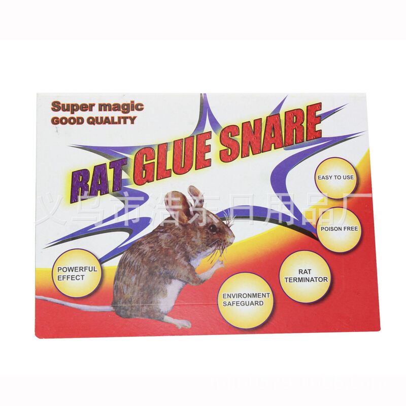 159 Mouse Glue Sticky Mouse Board Mouse Stickers Mouse Glue Mouse Board Brazil Lala Paper Sticky Mouse Paper