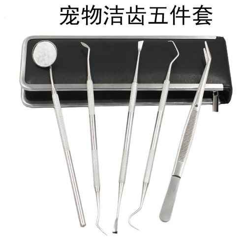 Dog calculus removal, bad breath removal, Teddy cleaning, dental tweezers, tooth cleaning, dental cleaning tools, pet care tools