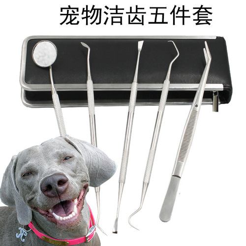 Dog calculus removal, bad breath removal, Teddy cleaning, dental tweezers, tooth cleaning, dental cleaning tools, pet care tools