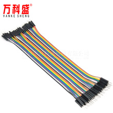 厂家直销 彩排线 40P杜邦线 公对公 双头1P 长20CM