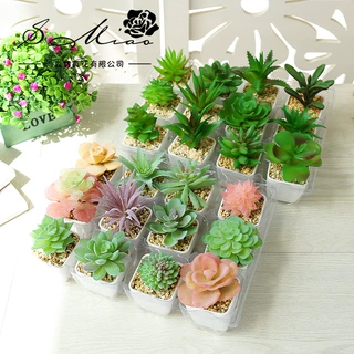 迷你塑料盆多肉植物盆景花摆件假花家居金华厂家直供一件代发绿植