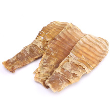 ���S�ɴ��������S���}�S����S ��ե�S�� �r�ҹS�a��ֱ���������l