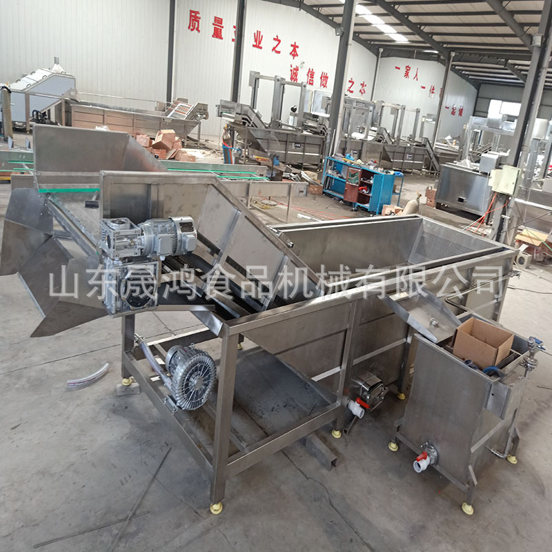 晟鸿专业小白菜香菜清洗机高压气泡清洗 喷淋式蔬菜清洗机