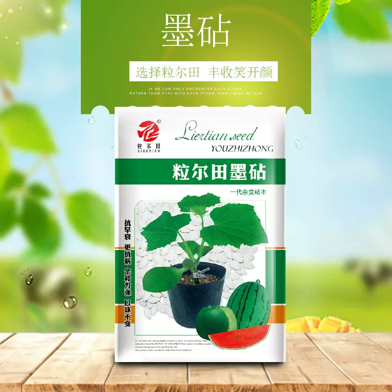 100克西瓜甜瓜嫁接专用砧木种子 粒尔田墨砧砧木种子 亲和力好