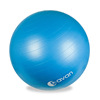 Factory Direct Selling Spot Direct Direct Explosion -Anti -Slip Multi -Speed PVC Yoga Ball