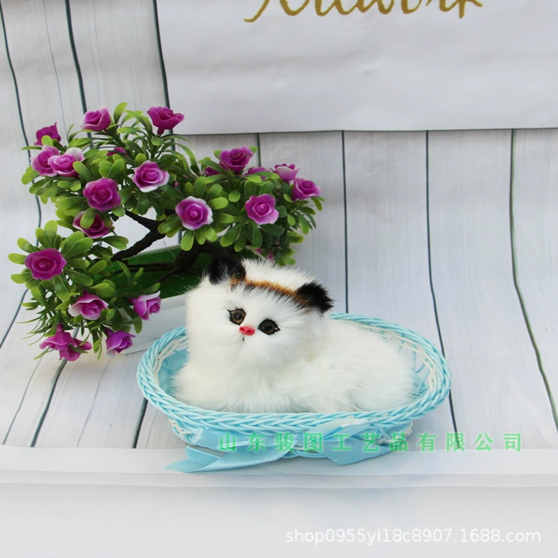 Photography props, toy, cat, Birthday gift