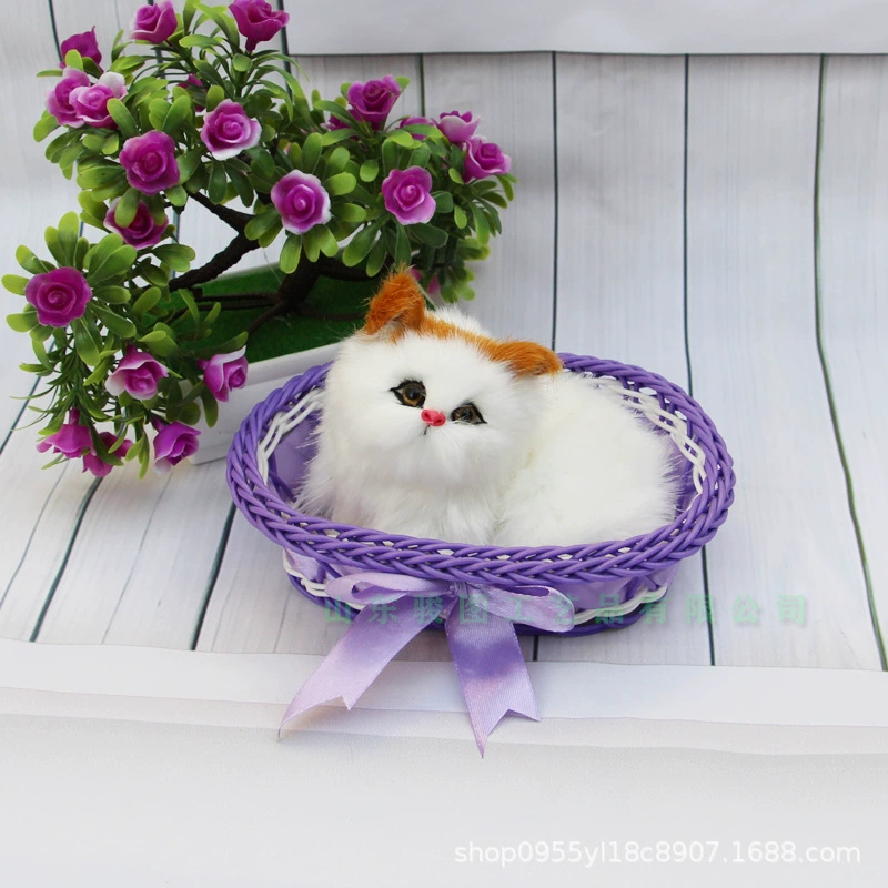 Photography props, toy, cat, Birthday gift