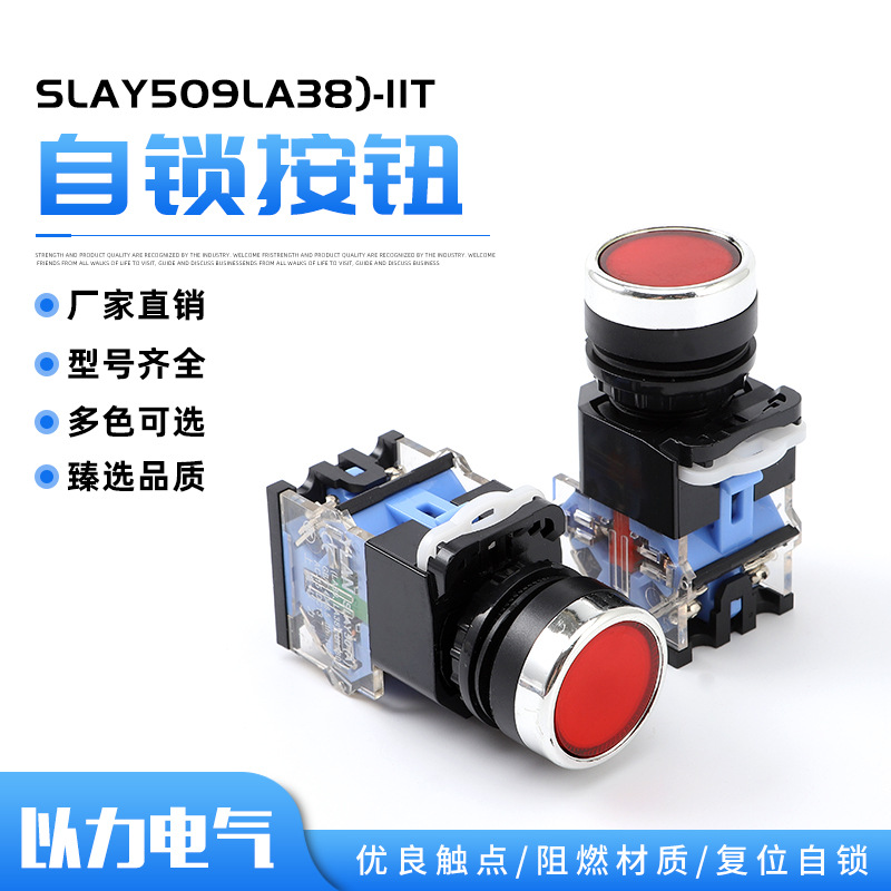 按钮新款慢动式平头自复位按钮自锁按钮SLAY509LA38)-11防护等级
