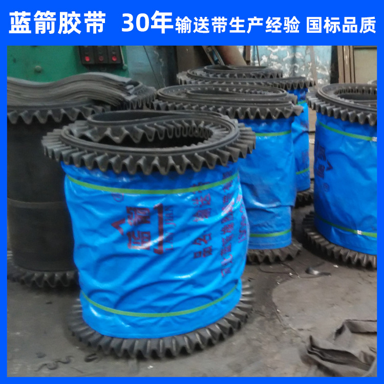 河北蓝箭供应涤棉聚酯挡板裙边输送带尼龙橡胶输送带带隔板输送带