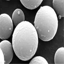 JSYA@TXM΢۱ϩ߽΢