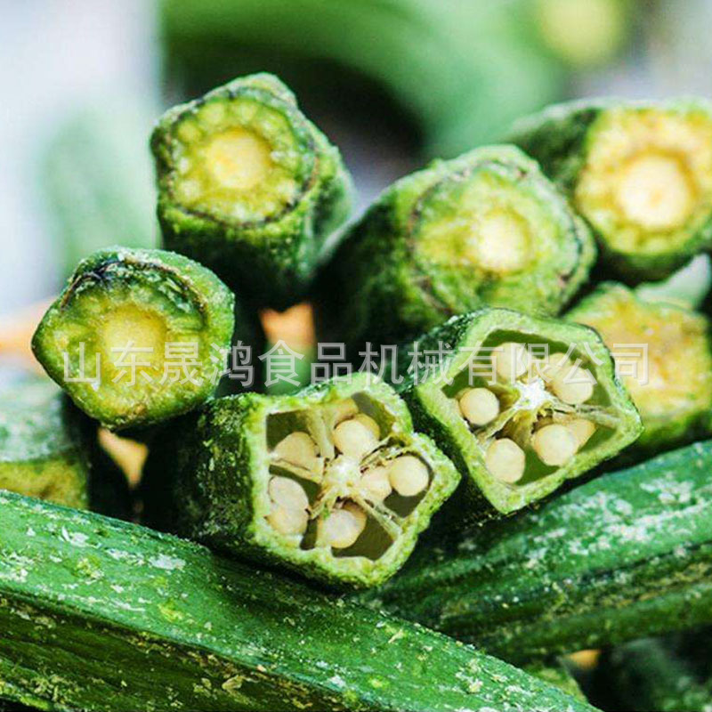 供应秋葵低温真空油炸机 半自动果蔬脆片真空油炸机