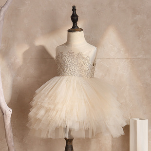 Women's Baby Baby Champagne Wedding Dress Girls Mesh Puffy Princess Birthday Dress Children's Cake Dress