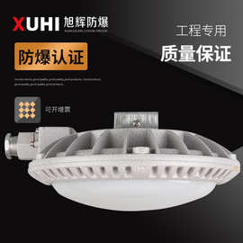 XHD916 免维护LED防爆灯20W/30W防爆吸顶灯CCD96防爆应急吸顶灯