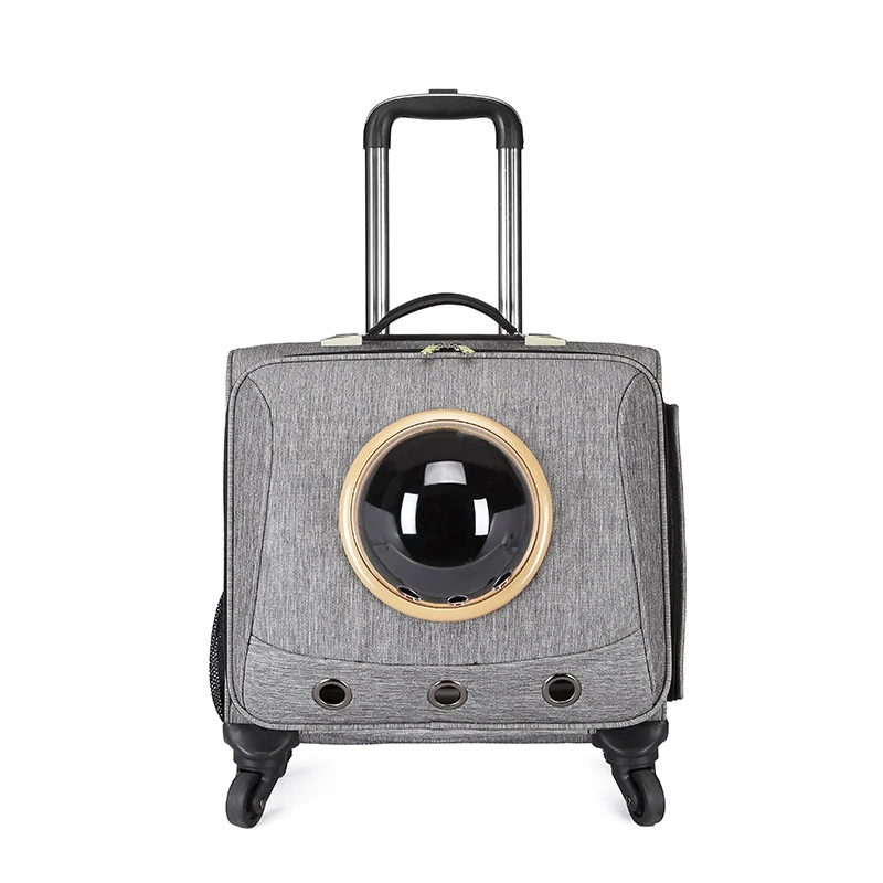 Suitcase to go out, universal storage box, 18 inch