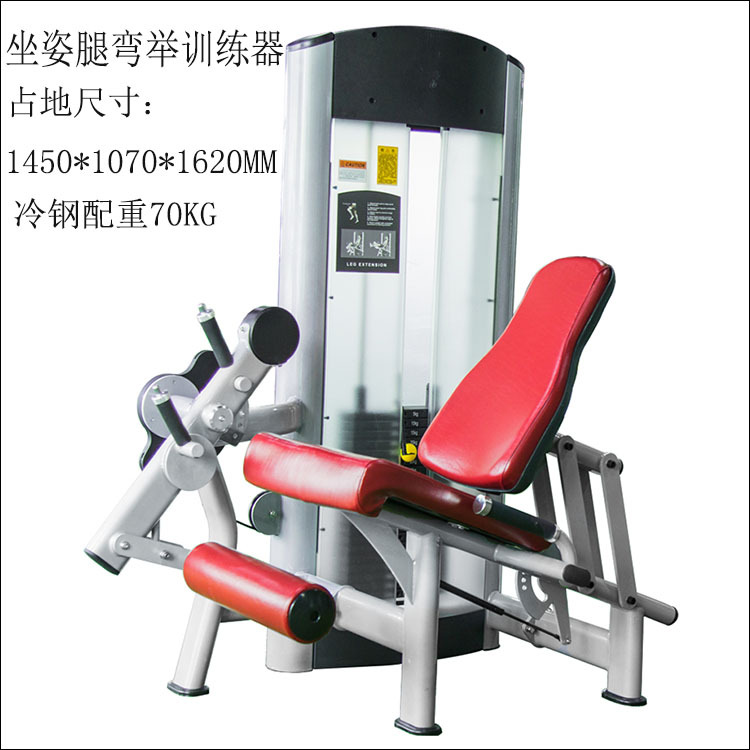 Pecho entrenador muslo flexión y estiramiento alto pull-down grandes y pequeñas aves voladoras de embarque gimnasio comercial Estudio de educación privada