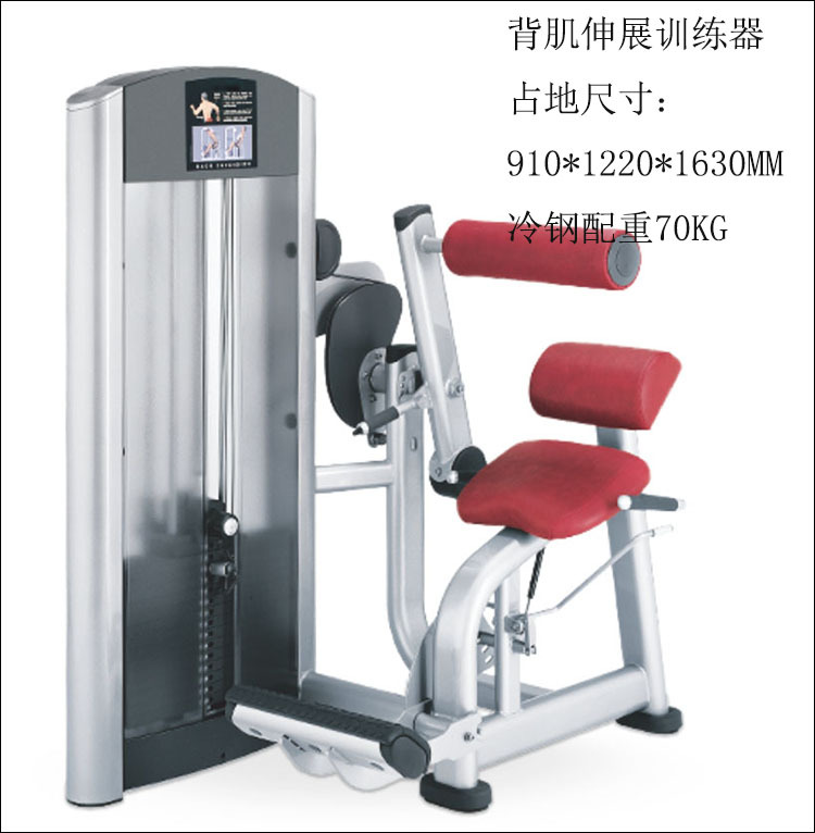 Pecho entrenador muslo flexión y estiramiento alto pull-down grandes y pequeñas aves voladoras de embarque gimnasio comercial Estudio de educación privada