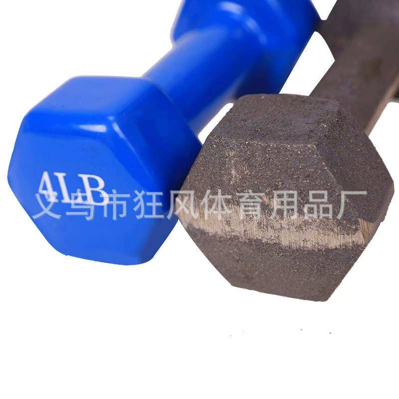 Dumbbells, sports equipment for gym for training