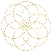 �Ҿ��b��ٲ����W�L⏽�ɫ��ˇ�Ӻ����FȦ���Ӵ��F�h�����c