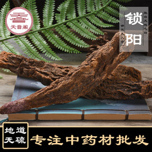 ɰiꖮa؛ԴlșiƬɢb؛iă