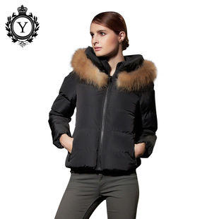 2019�W���羳�¿�̿�����Ů���Q���펧ë�I���s���\�޷�һ�����l