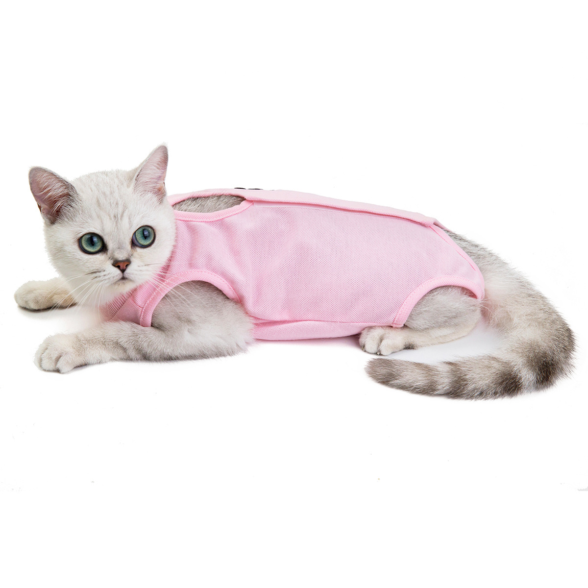 Mascota gato ropa de primavera y verano nuevo gato vestido quirúrgico al por mayor ropa de esterilización