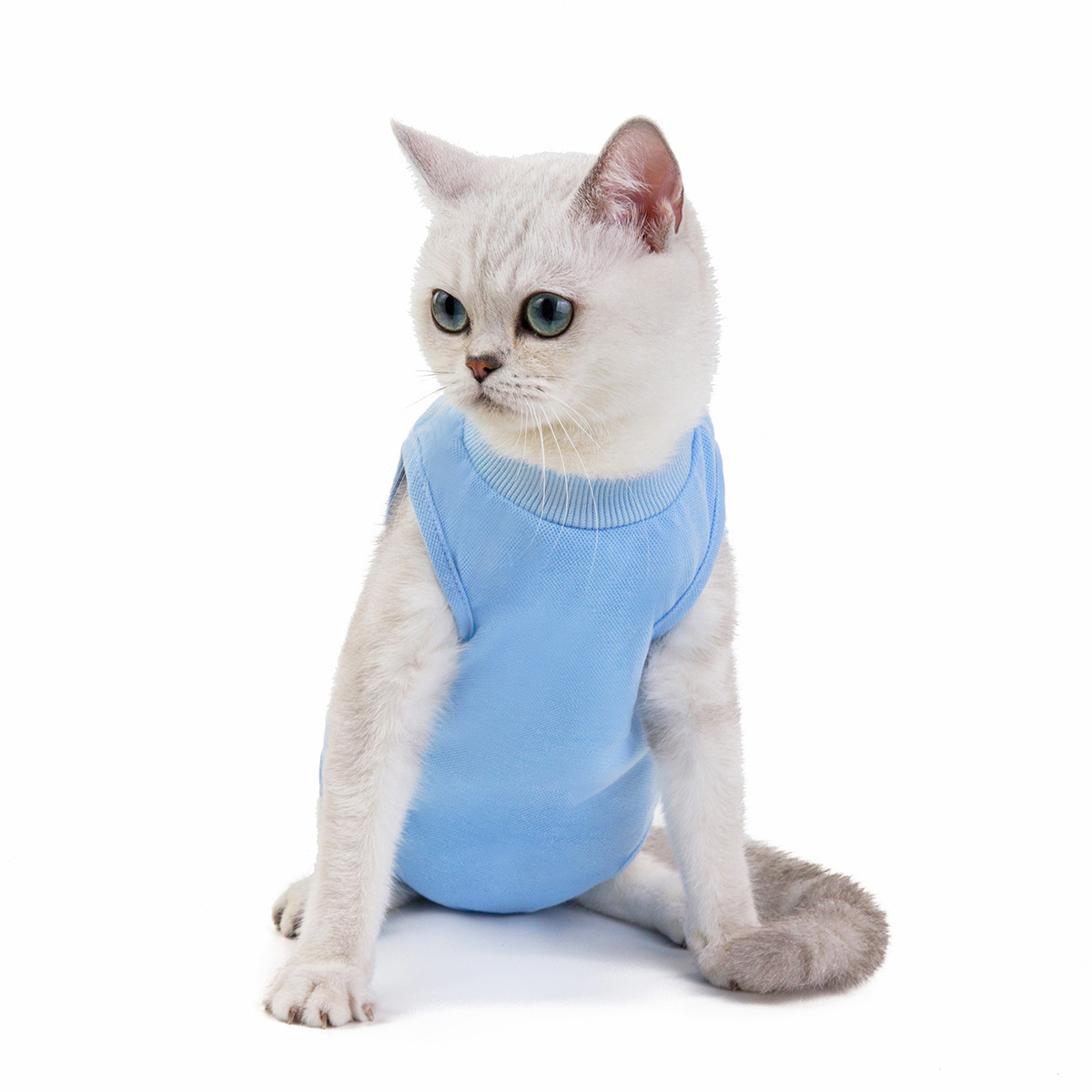 Mascota gato ropa de primavera y verano nuevo gato vestido quirúrgico al por mayor ropa de esterilización