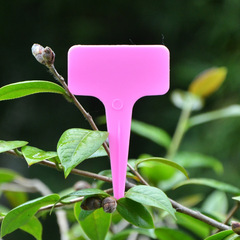 塑料多肉標籤花卉園藝插地牌標籤盆栽植物樹木名字標籤防水小插牌