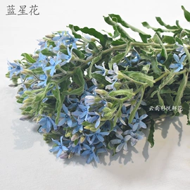 鲜切花;干花;栽培基质