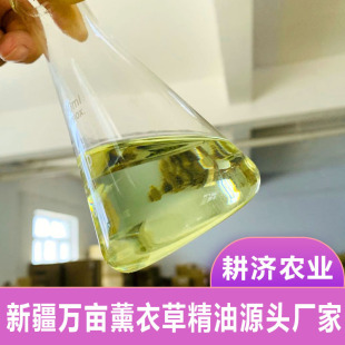 �½�����޹�²ݾ������l�����{�s޹�挍�M�~�η�������޹Դ�^�S��