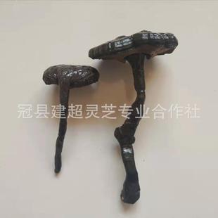 �a�����l�L����֥���`֥�a��؛Դ�F؛����