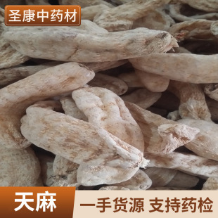 ���l�x�b���� �� 2025����؛  �ֹ����x ����|��  ����