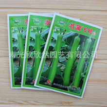 ����6̖�ϷN���L�ϷN�� ����9̖�̰��͸߮a�����ѹϷN�Ѵ���