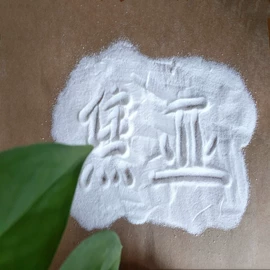 氯化物;碳酸盐;亚硫酸盐